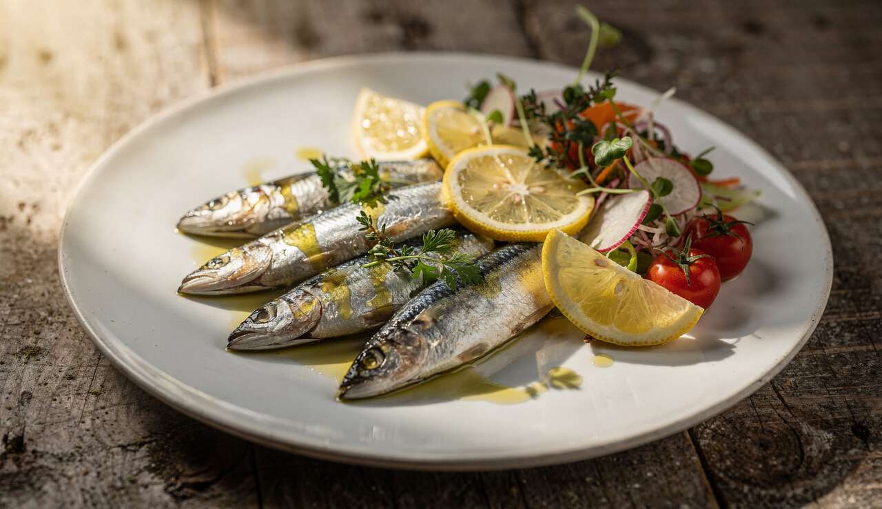 Art culinaire : idées de recettes gourmandes à base de sardines Art culinaire : idées de recettes gourmandes à base de sardines