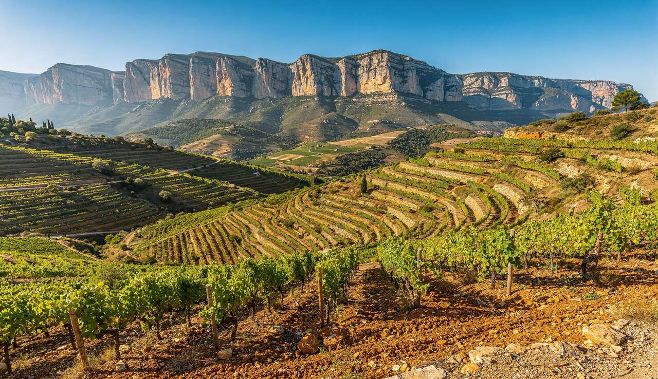 Découverte du Priorat : première partie