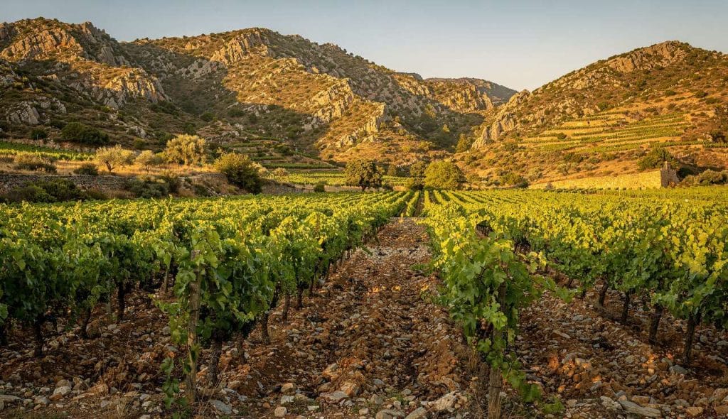 Priorat : découverte du terroir vinicole