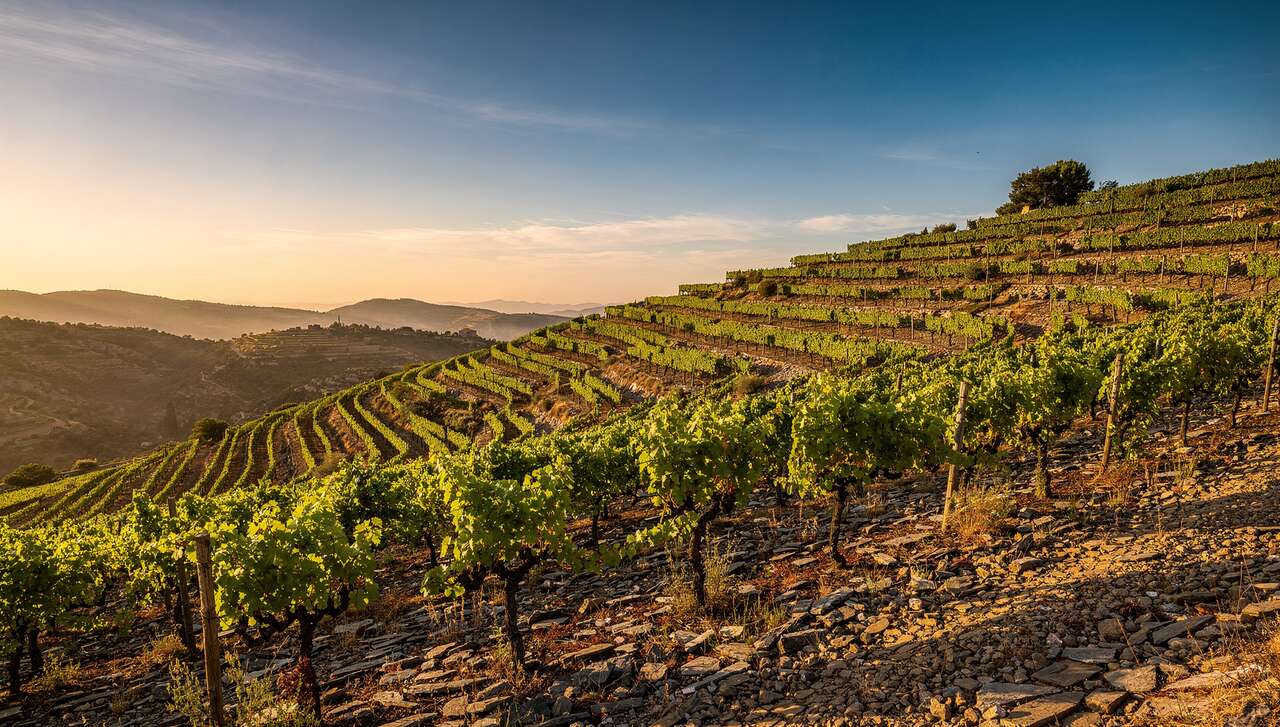 Priorat : découverte des vins du Priorat (Partie 3)