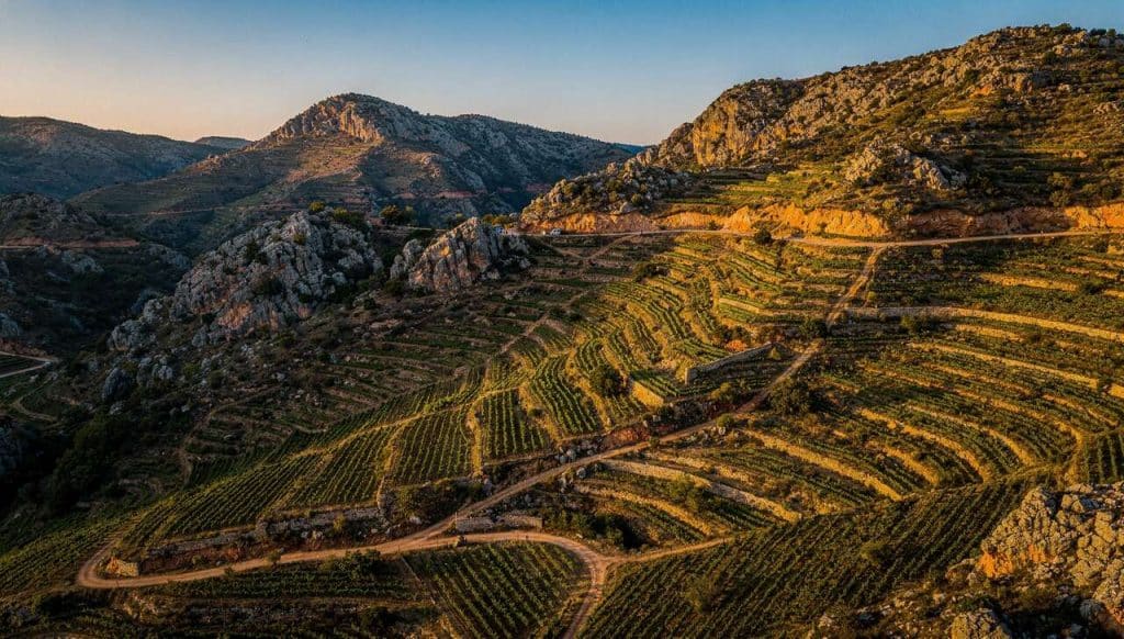 Priorat : une exploration viticole