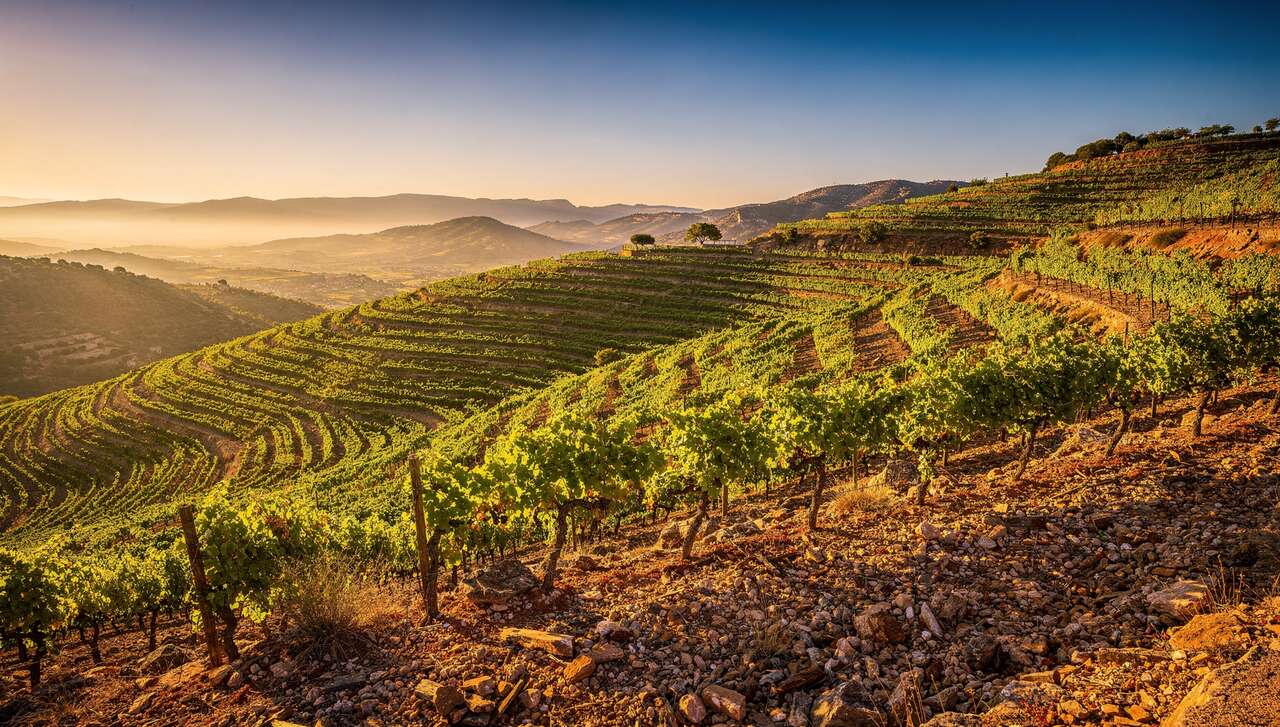 D&eacute;couverte du terroir unique de priorat