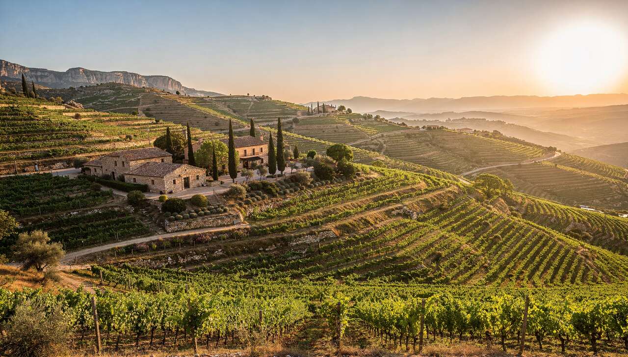 D&eacute;couvrir la route des vins du priorat