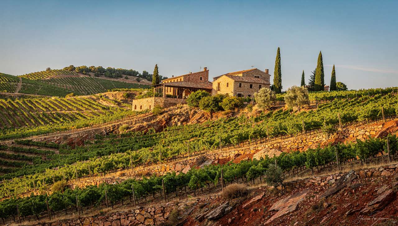 Les meilleures caves &agrave; visiter en 2026