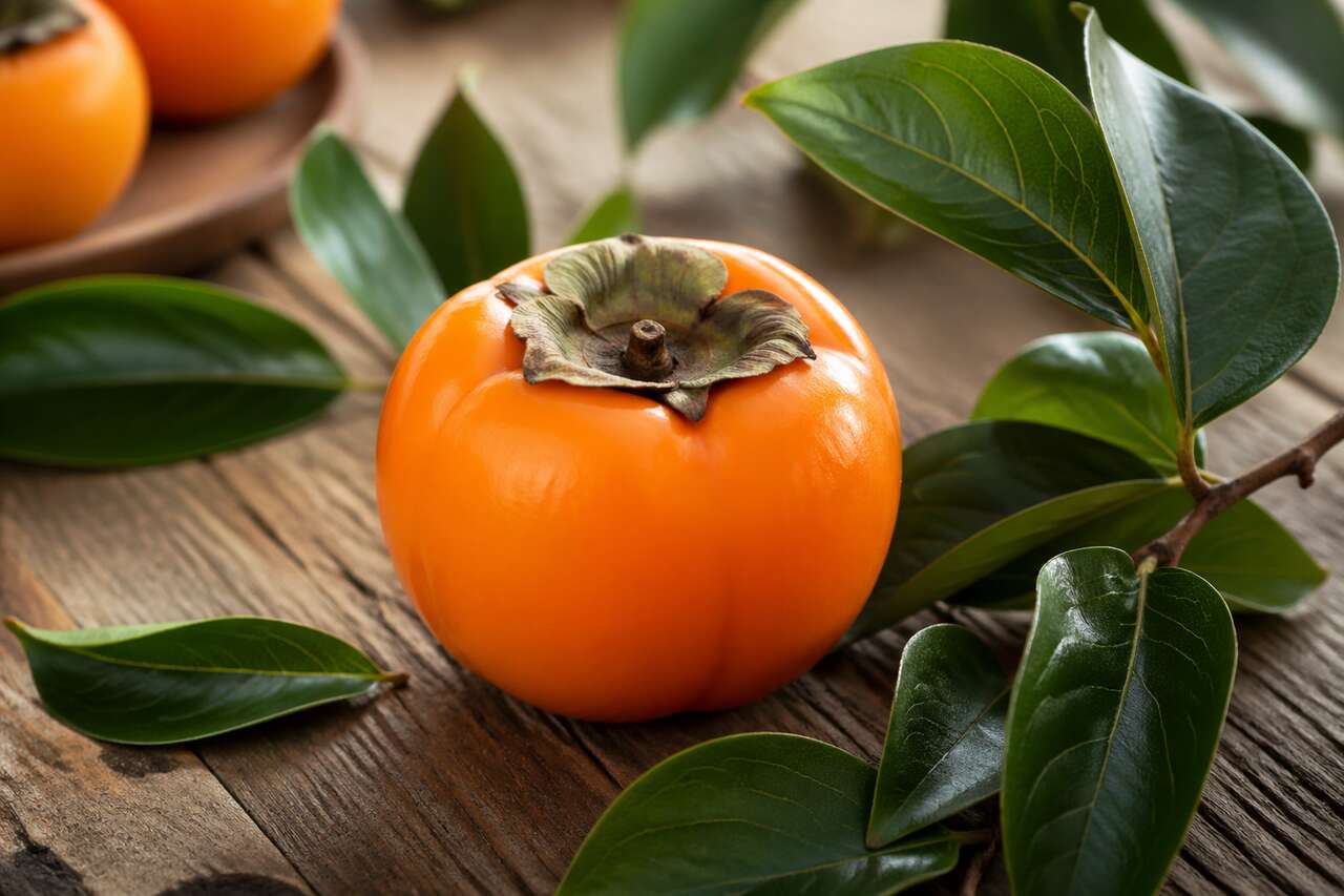 Les bienfaits du kaki : un fruit à découvrir