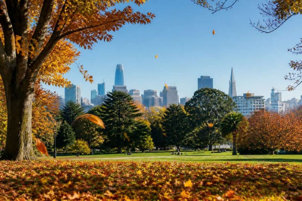 Automne précoce à San Francisco