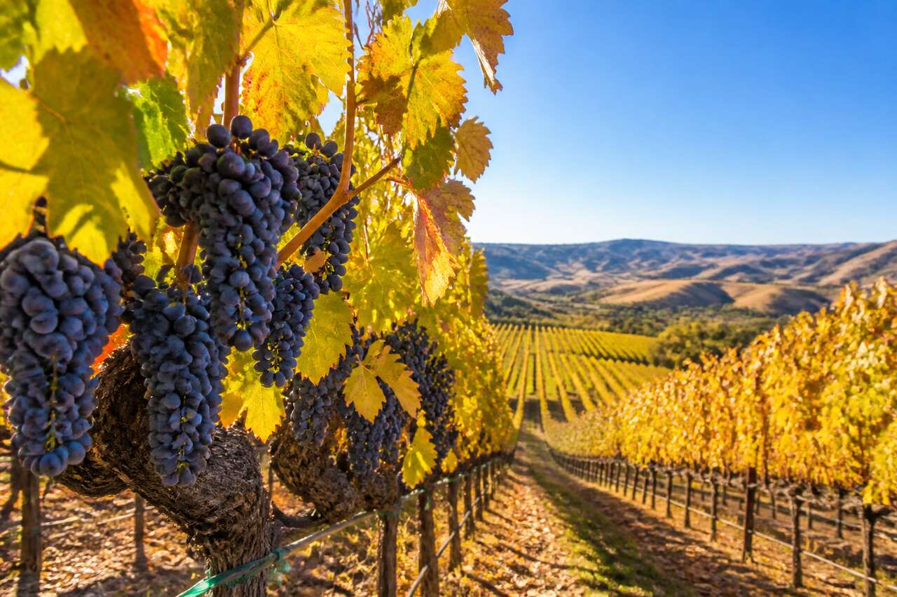 Les couleurs et paysages du d&eacute;but d'automne en californie