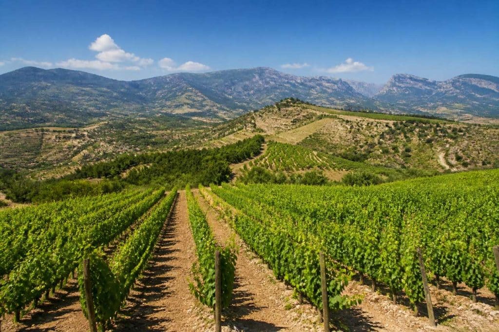Priorat : découverte viticole en Catalogne